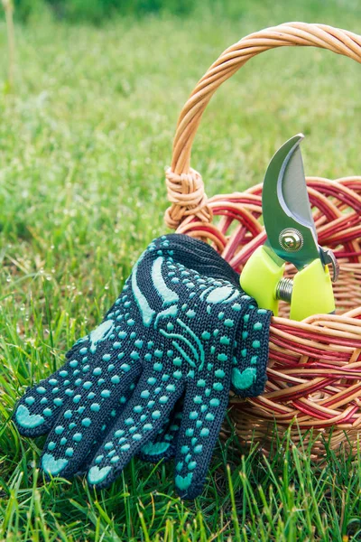 Garden pruner and gloves with wicker basket in green grass.