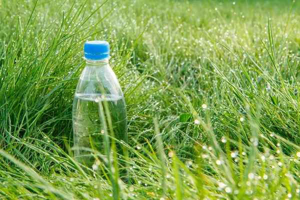 Bottle of mineral water in green grass with drops of morning dew.