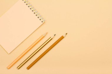 Okul malzemeleri. Defter ve üç renkli kalem.