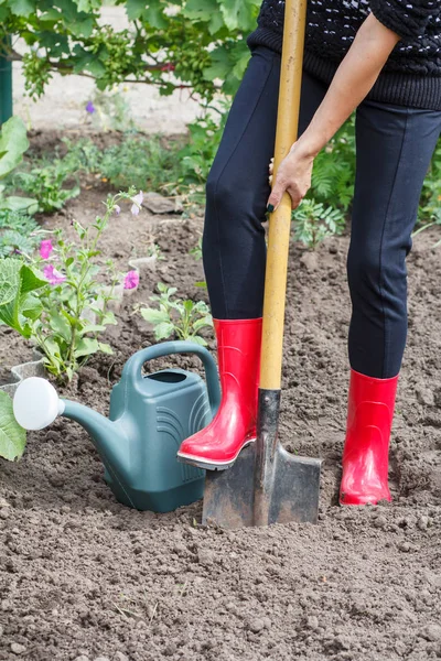 O jardineiro está a cavar solo numa cama. Fazendeiro fêmea cava em um jardim . — Fotografia de Stock