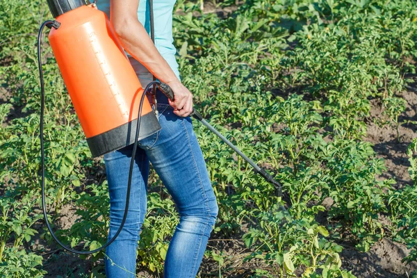 Proteger plantas de batatas de doenças fúngicas ou vermes com pulverizador de pressão — Fotografia de Stock