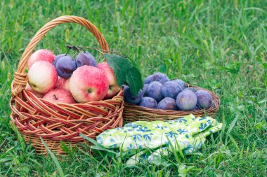 Sadece çim üzerinde hasır sepetleri Erik ve elma aldı