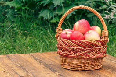 Sadece gras ile ahşap tahtalar üzerinde bir hasır sepet elma aldı