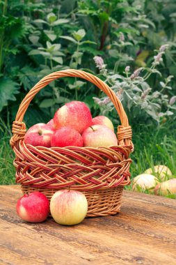 Sadece gras ile ahşap tahtalar üzerinde bir hasır sepet elma aldı