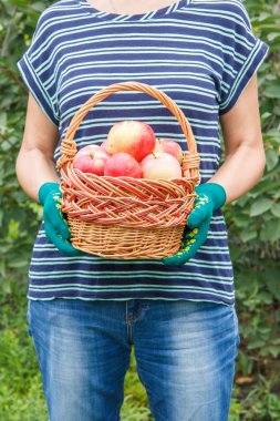 Kadın elinde kırmızı elma ile hasır sepet tutuyor