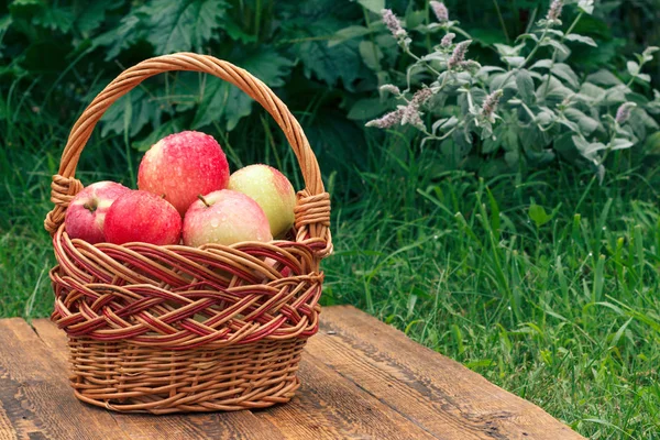 Sadece gras ile ahşap tahtalar üzerinde bir hasır sepet elma aldı