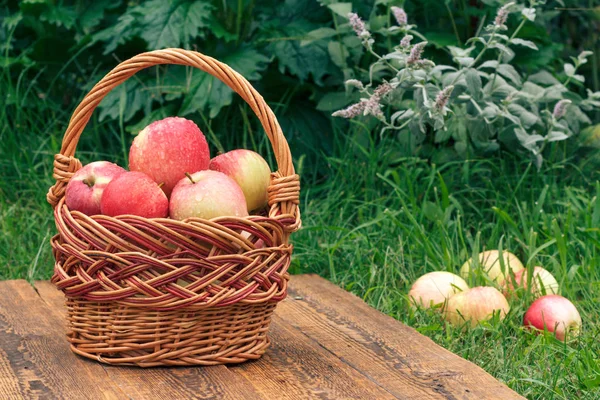 Mele appena raccolte in un cesto di vimini su tavole di legno con erba sullo sfondo — Foto Stock