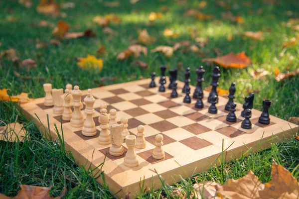 Дерев'яна шахова дошка і шматки на трав'янистій землі, покритій сухим листям — стокове фото