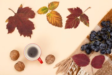 Sonbahar teması. Kuru yaprakları, kahve, ceviz ve bej arka planda üzüm ile ekose fincan.