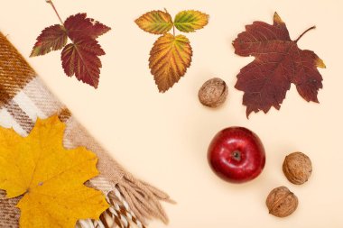 Sonbahar teması. Kuru yapraklar, elma, ceviz ve bej arka plan üzerinde ekose.