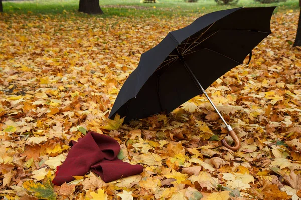 Guarda-chuva preto aberto e lenço deitado em folhas secas . — Fotografia de Stock