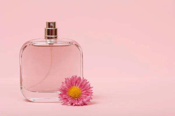 Parfums de femmes avec fleur sur fond rose . — Photo