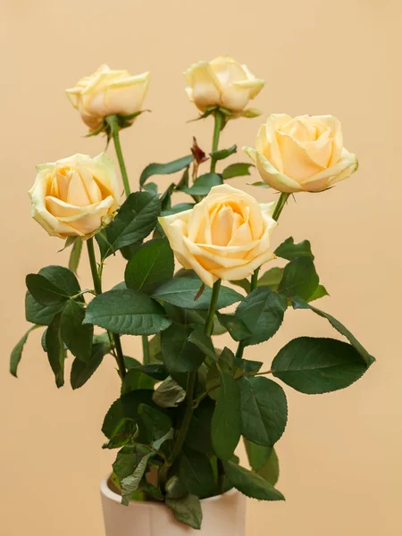 Beautiful Bouquet Yellow Roses Ceramic Vase Yellow Background Celebration Concept — Stock Photo, Image
