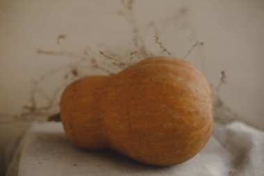 Kabak ve çiçekler keten kumaş üzerine yalan. Konfor, sıcaklık ve ev kavramı. Sonbahar ya da Sonbahar sıcak arka plan. Düz yatıyordu, en iyi görünüm, kopya alanı.