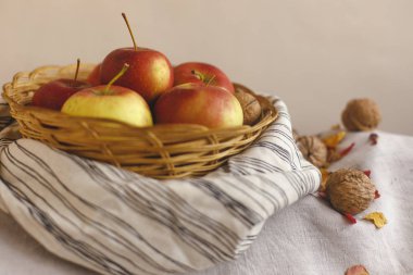 Natürmort bir sepet elma ile stand çizgili bir keten kumaş, ceviz, çiçek yaprakları. Şükran günü kartı oluşturmak için sonbahar ve sonbahar kavramları. Elma fındık ve sonbahar ve sonbahar dekorasyonları.