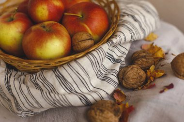 Natürmort bir sepet elma ile stand çizgili bir keten kumaş, ceviz, çiçek yaprakları. Şükran günü kartı oluşturmak için sonbahar ve sonbahar kavramları. Elma fındık ve sonbahar ve sonbahar dekorasyonları.