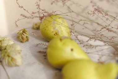 Armut, atlama ve çiçekler keten kumaş üzerine yalan. Konfor, sıcaklık ve ev kavramı. Sonbahar ya da Sonbahar sıcak arka plan. Düz yatıyordu, en iyi görünüm, kopya alanı.