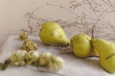 Armut, atlama ve çiçekler keten kumaş üzerine yalan. Konfor, sıcaklık ve ev kavramı. Sonbahar ya da Sonbahar sıcak arka plan. Düz yatıyordu, en iyi görünüm, kopya alanı.