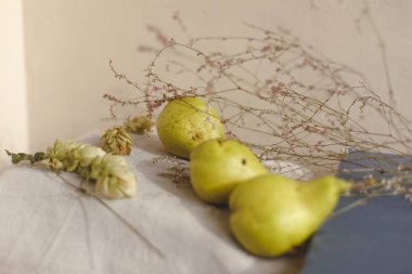 Armut, atlama ve çiçekler keten kumaş üzerine yalan. Konfor, sıcaklık ve ev kavramı. Sonbahar ya da Sonbahar sıcak arka plan. Düz yatıyordu, en iyi görünüm, kopya alanı.
