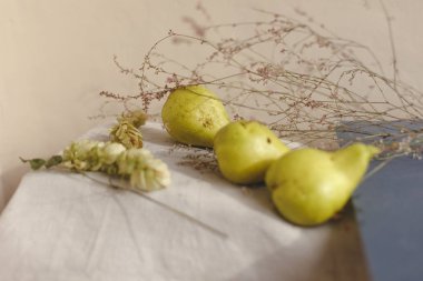 Armut, atlama ve çiçekler keten kumaş üzerine yalan. Konfor, sıcaklık ve ev kavramı. Sonbahar ya da Sonbahar sıcak arka plan. Düz yatıyordu, en iyi görünüm, kopya alanı.