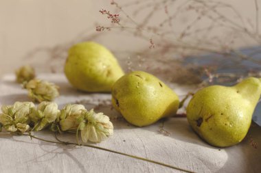 Armut, atlama ve çiçekler keten kumaş üzerine yalan. Konfor, sıcaklık ve ev kavramı. Sonbahar ya da Sonbahar sıcak arka plan. Düz yatıyordu, en iyi görünüm, kopya alanı.