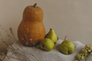 Kabak, armut ve çiçekler keten kumaş üzerine yalan. Konfor, sıcaklık ve ev kavramı. Sonbahar ya da Sonbahar sıcak arka plan. Yat, görünümü, kopya alanı top. Şükran günü kavramı.