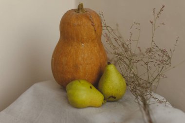 Kabak, armut ve çiçekler keten kumaş üzerine yalan. Konfor, sıcaklık ve ev kavramı. Sonbahar ya da Sonbahar sıcak arka plan. Yat, görünümü, kopya alanı top. Şükran günü kavramı.