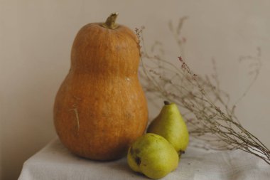 Kabak, armut ve çiçekler keten kumaş üzerine yalan. Konfor, sıcaklık ve ev kavramı. Sonbahar ya da Sonbahar sıcak arka plan. Yat, görünümü, kopya alanı top. Şükran günü kavramı.