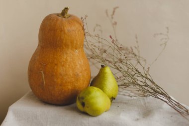 Kabak, armut ve çiçekler keten kumaş üzerine yalan. Konfor, sıcaklık ve ev kavramı. Sonbahar ya da Sonbahar sıcak arka plan. Yat, görünümü, kopya alanı top. Şükran günü kavramı.