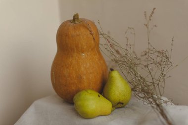 Kabak, armut ve çiçekler keten kumaş üzerine yalan. Konfor, sıcaklık ve ev kavramı. Sonbahar ya da Sonbahar sıcak arka plan. Yat, görünümü, kopya alanı top. Şükran günü kavramı.