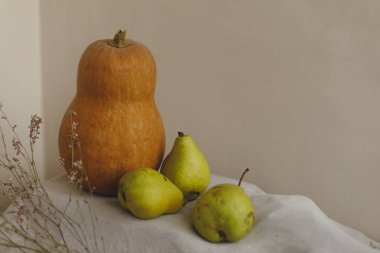 Kabak, armut ve çiçekler keten kumaş üzerine yalan. Konfor, sıcaklık ve ev kavramı. Sonbahar ya da Sonbahar sıcak arka plan. Yat, görünümü, kopya alanı top. Şükran günü kavramı.