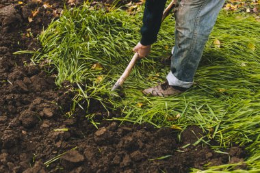 Adam Bahçe kazma. Toprak spud. Adam bir ağaç bitki için çukur kazıyor. Adam tarım arazileri, bahçecilik, tarım ve zor bir iş kavramı kir gevşetir