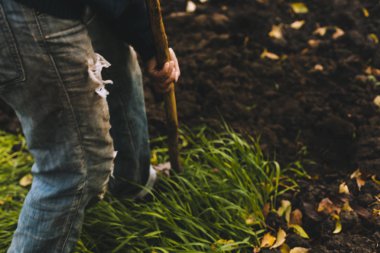 Adam Bahçe kazma. Toprak spud. Adam bir ağaç bitki için çukur kazıyor. Adam tarım arazileri, bahçecilik, tarım ve zor bir iş kavramı kir gevşetir
