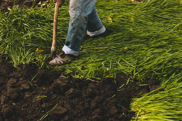 Muž kopal do zahrady. Spude půdy. Muž kope díru zasadit strom. Člověk uvolní nečistoty v zemědělské půdy, zahradnictví, zemědělství a tvrdá práce concept — Stock fotografie