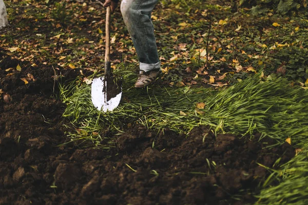 Man gräva i trädgården. Spud smutsa. Man gräver ett hål för att plantera ett träd. Man löser upp smuts i jordbruksmark, Trädgårdsskötsel, jordbruk och tufft arbete koncept — Stockfoto