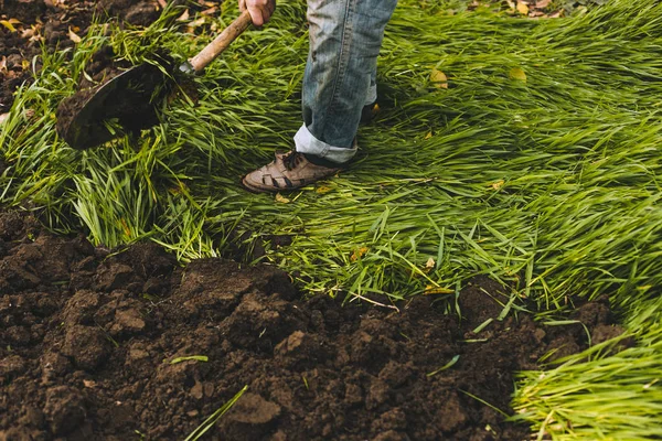 Man digging the garden. Spud the soil. Man digs a hole to plant a tree. Man loosens dirt in the farmland, gardening,  agriculture and tough work concept — Stock Photo, Image