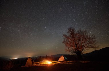 Fantastik gece kamp sitesi görünümü. Büyük ağaç üzerinde güzel koyu yıldızlı gökyüzü altında iki turist çadır ve uzak dağ silsilesi arka plan arasında yanan parlak şenlik ateşi. Turizm, açık hava etkinliği konsepti