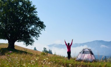 Uzun yürüyüşe çıkan kimse kız ile ayakta arkadan görünüm sisli dağlar zemin üzerine yaz sabahı küçük turistik çadır ve mavi gökyüzü altında büyük ağaç çiçek açan tepe üzerinde silah kaldırdı. Turizm ve seyahat kavramı.