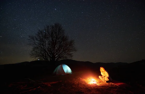 밤입니다 밤하늘 모닥불 불타는 관광객 백그라운드에서 텐트와 나무의 실루엣을 — 스톡 사진