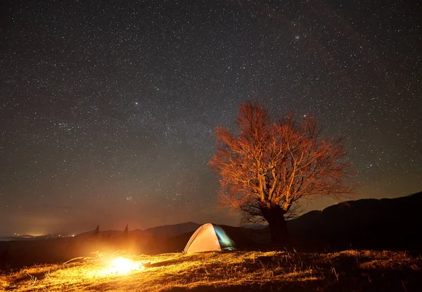 Fantastycznej Nocy Camping Widok Witryny Jasne Ognisko Pieczenie Pobliżu Turystycznych — Zdjęcie stockowe