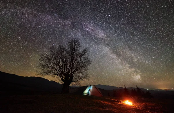 Feu Camp Lumineux Brûlant Près Tente Éclairée Touristique Camping Nocturne — Photo