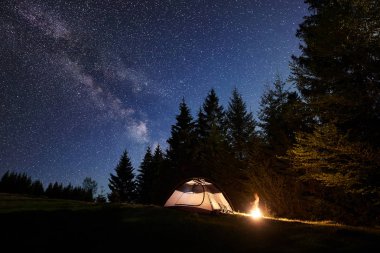 Gece kamp yerinde. Yüksek çam ağaçları arka plan üzerine açık koyu mavi yıldızlı gökyüzü altında takas orman parlak yanan şenlik ateşi küçük turistik çadırın tarafından yaktı. Doğa ve Turizm kavramının güzellik.