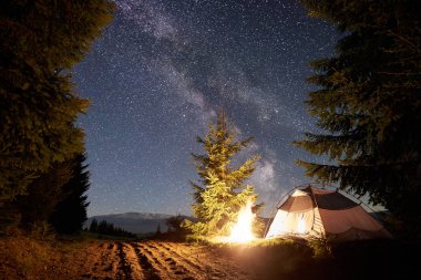 Gece dağda kamp. Parlak açık koyu mavi yıldızlı gökyüzü, Samanyolu altında forest yakınındaki şenlik ateşi yakma tarafından turist çadır. Arka plan üzerinde yüksek çam ağaçları. Doğa ve Turizm kavramının güzellik.