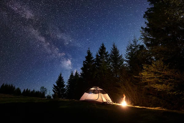 Gece kamp yerinde. Yüksek çam ağaçları arka plan üzerine açık koyu mavi yıldızlı gökyüzü altında takas orman parlak yanan şenlik ateşi küçük turistik çadırın tarafından yaktı. Doğa ve Turizm kavramının güzellik.