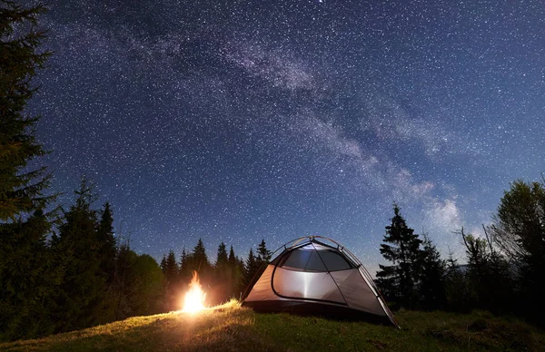 Night camping in mountains. Tourist tent by brightly burning campfire near forest under amazing blue starry sky and Milky way. High pine trees on background. Beauty of nature and tourism concept.