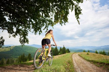 Arkadan görünüşü altında büyük ağaç, sarı dağ bisikleti sürme çekici mutlu kız bisikletçi dağlarda yaz günü zevk. Açık spor aktivitesi, yaşam kavramı