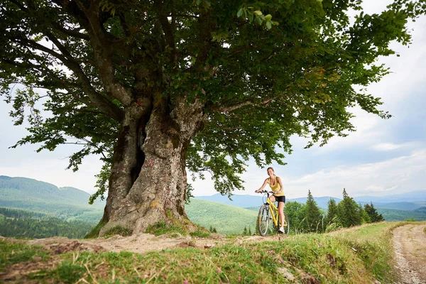 年轻快乐的女子骑车骑着黄山的自行车在大树下 在山上享受夏日 户外运动活动 生活方式概念 — 图库照片