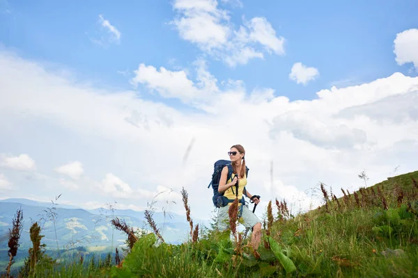 Atraktivní Žena Turista Karpatské Horské Stezky Pěší Túry Procházky Travnatém — Stock fotografie