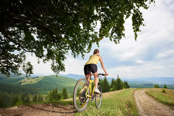 Arkadan görünüşü altında büyük ağaç, sarı dağ bisiklet sürme çekici kadın motorcu dağlarda yaz günü zevk. Açık spor aktivitesi, yaşam kavramı