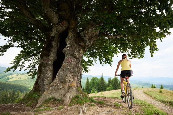 Arkadan görünüşü altında büyük ağaç, sarı dağ bisiklet sürme çekici kadın bisikletçi dağlarda yaz günü zevk. Açık spor aktivitesi, yaşam kavramı